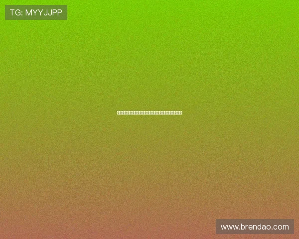 德甲官方频道带你深入解读联赛最新动态与球场背后的故事